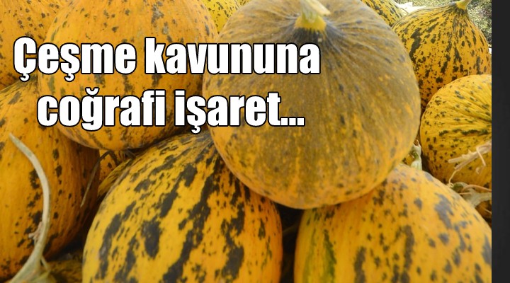 Çeşme kavununa coğrafi işaret...