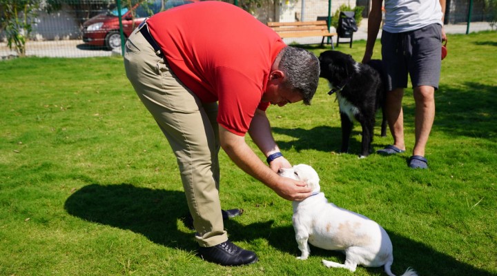 Çeşme ye 5 Pati Park daha!