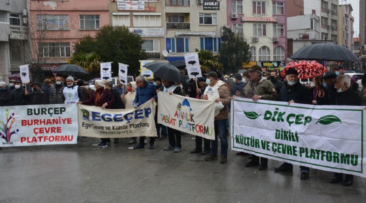 Çevre örgütlerinin zeytinlik isyanı!