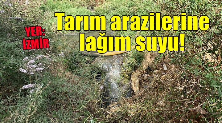 Cezaevi lağım suları tarım arazilerine boşaltılıyor!