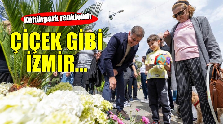 Çiçek gibi İzmir