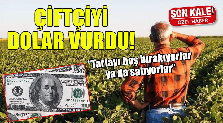 Çiftçiyi Dolar vurdu...  Tarlayı satıyorlar, ya da boş bırakıyorlar 