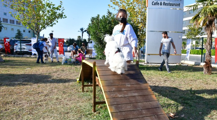 Çiğli de Pati Dostları Festivali coşkusu!