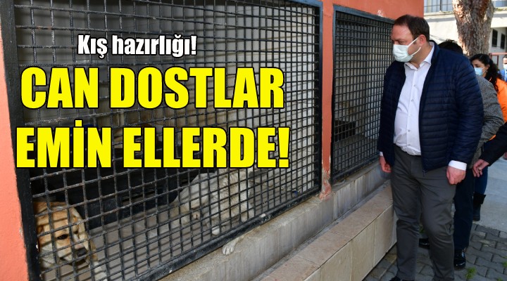 Çiğli de can dostlar emin ellerde!