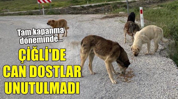 Çiğli de can dostlar unutulmadı!