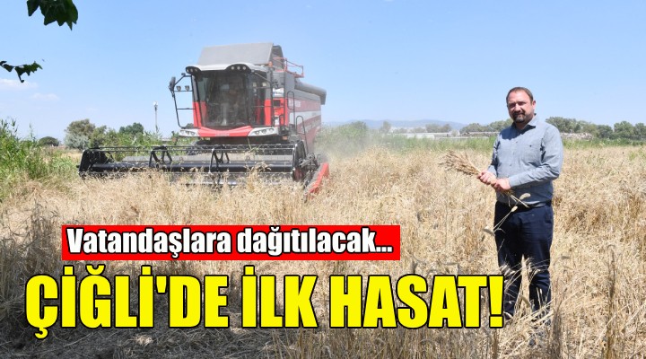 Çiğli de ilk hasat!