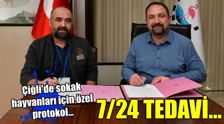 Çiğli de sokak hayvanlarına 7/24 tedavi...