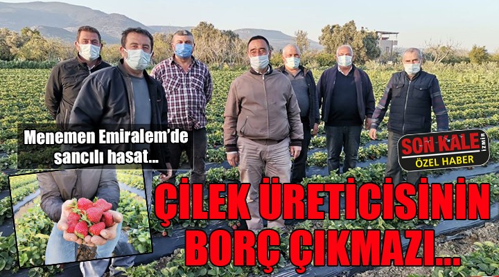 Çilek üreticisinin borç çıkmazı!