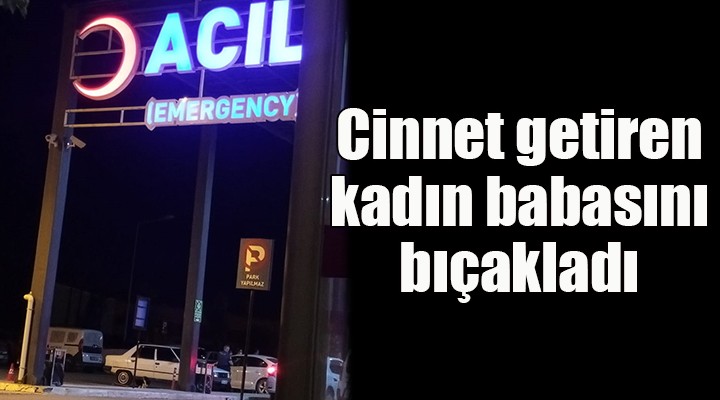 Cinnet getiren kadın babasını bıçakladı