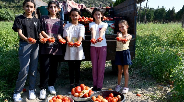 Çocukların hasadı sokak hayvanları için mama olacak!