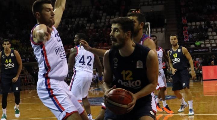 Cumhurbaşkanlığı Kupası, Anadolu Efes in