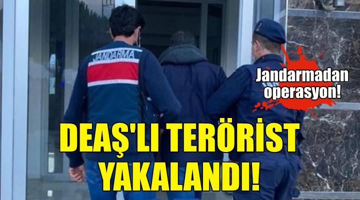 DEAŞ lı terörist İzmir de yakalandı!
