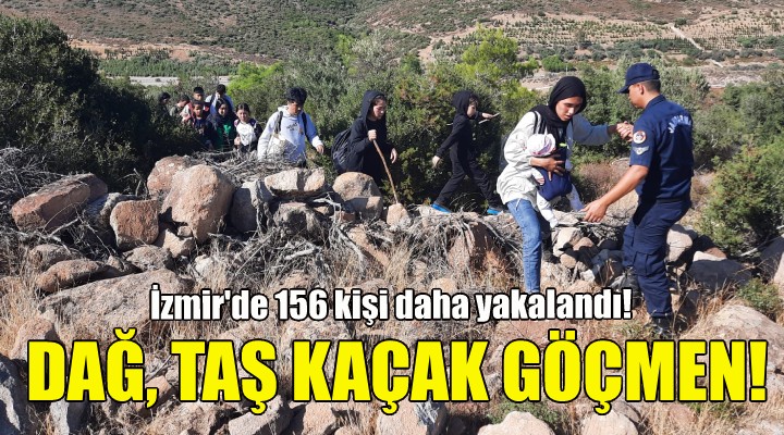 Dağ, taş kaçak göçmen... İzmir de 156 kişi daha yakalandı!