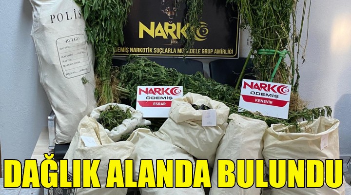 Dağlık alanda bulundu!