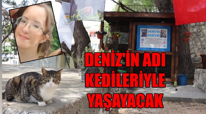 Deniz in adı kedileriyle yaşayacak