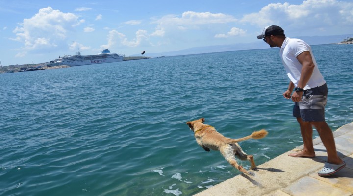 Deniz tutkunu Miço