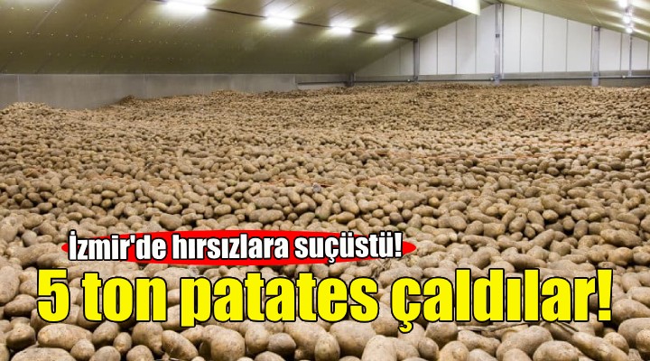 Depodan 5 ton patates çaldılar!