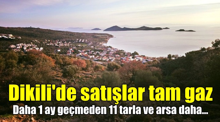 Dikili de satışlar tam gaz!