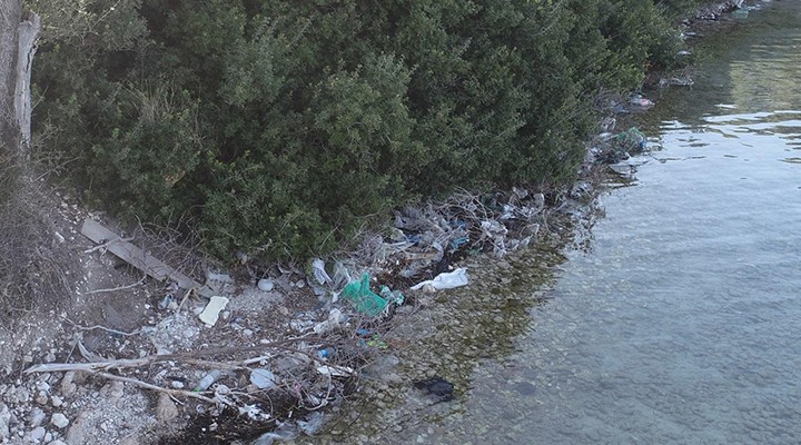 Dikili de su altı ve kıyı temizliğine davet