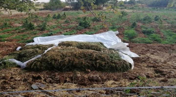 Diyarbakır da 4,5 ton uyuşturucu ele geçirildi!