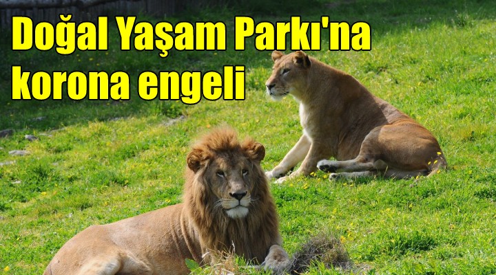 Doğal Yaşam Parkı na korona engeli!