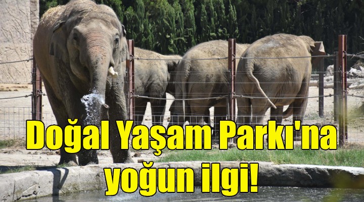 Doğal Yaşam Parkı na yoğun ilgi!