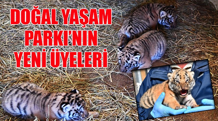 Doğal Yaşam Parkı nın yeni üyeleri