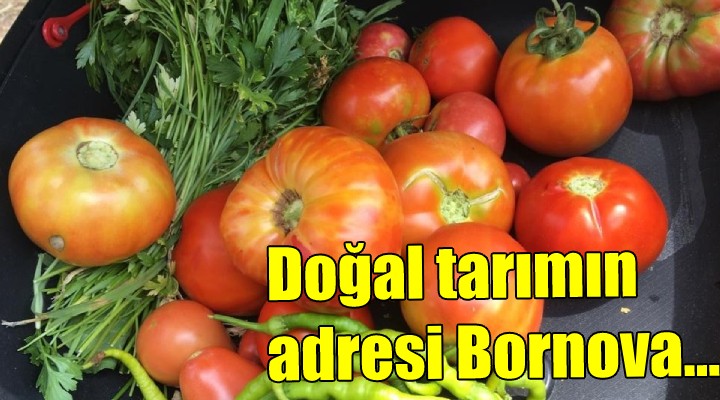 Doğal tarımın adresi Bornova...