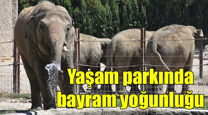 Doğal yaşam parkında bayram yoğunluğu