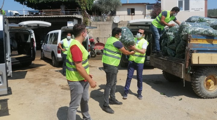 Dökülecek salatalıkları alıp ihtiyaç sahiplerine dağıttılar