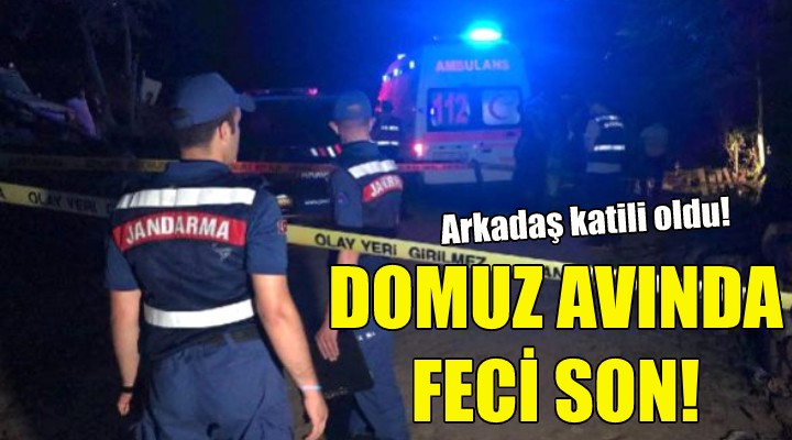 Domuz avında feci son!