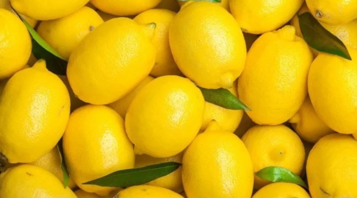 Dubai ye gönderilen tonlarca limon kapıdan döndü
