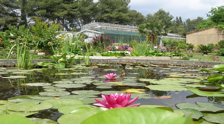 EÜ Botanik Bahçesi 3 bine yakın bitkiye ev sahipliği yapıyor
