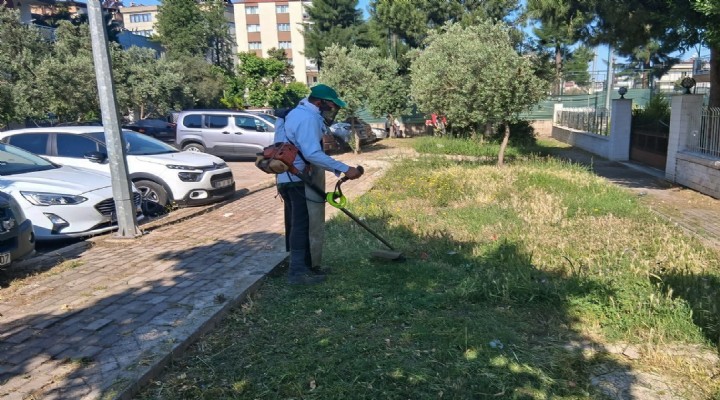 Efeler in yeşil alanlarında yaz temizliği