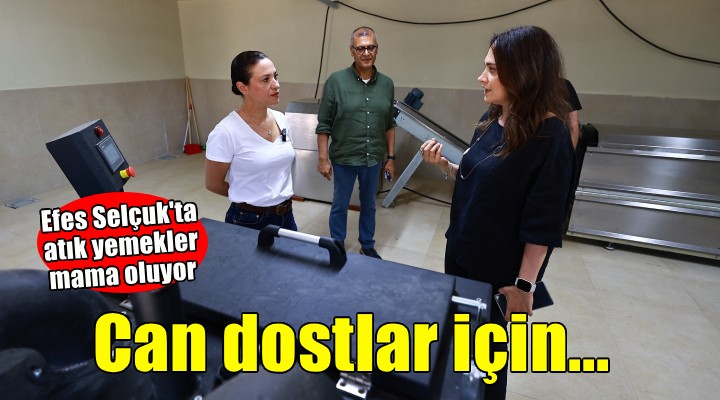 Efes Selçuk'ta atık yemekler can dostlara mama oluyor