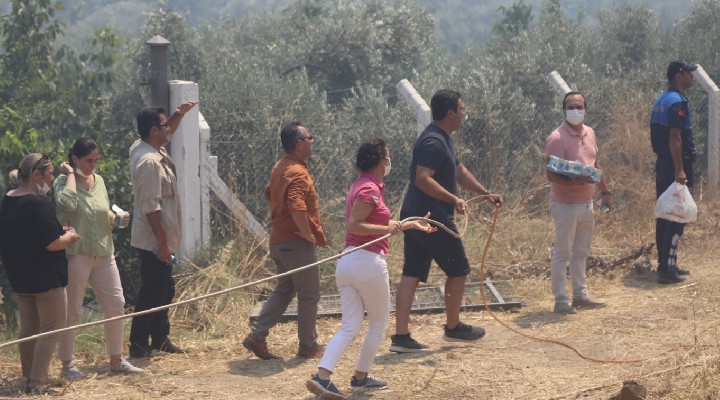 Efes Selçuk taki yangın hızlı müdahale ile kontrol altında
