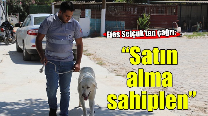 Efes Selçuk’ta Satın Alma Sahiplen çağrısı