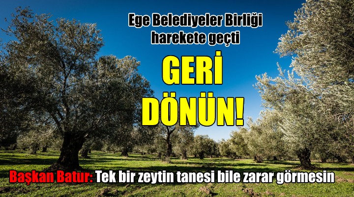 Ege Belediyeler Birliği nden zeytinlik davası