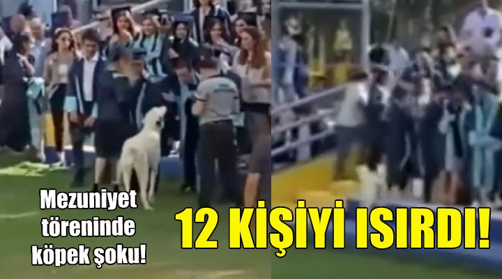 Ege Üniversitesi ndeki mezuniyet töreninde köpek şoku!