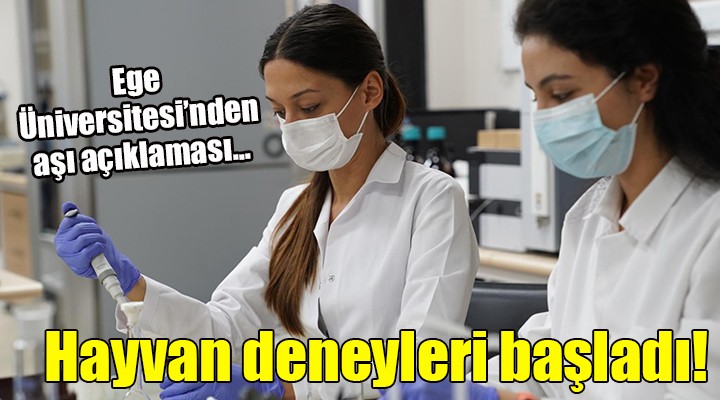 Ege Üniversitesi nden aşı açıklaması... HAYVAN DENEYİ BAŞLADI