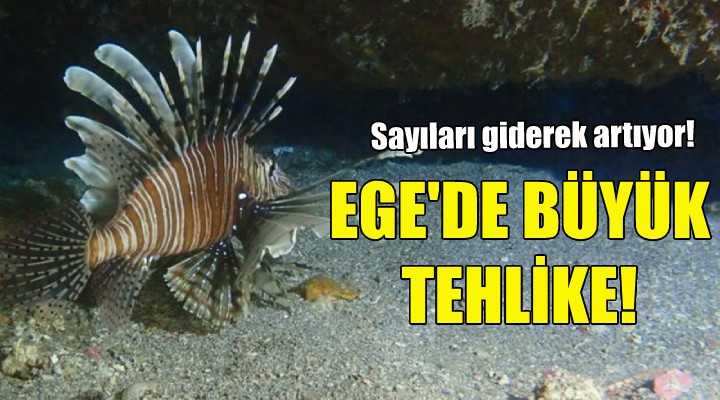 Ege de büyük tehlike!