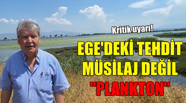 Ege deki tehdit müsilaj değil plankton!