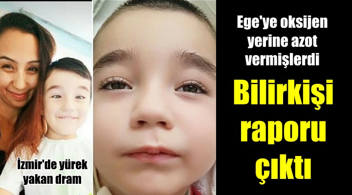 Ege ye oksijen yerine azot verilmesiyle ilgili bilirkişi raporu çıktı