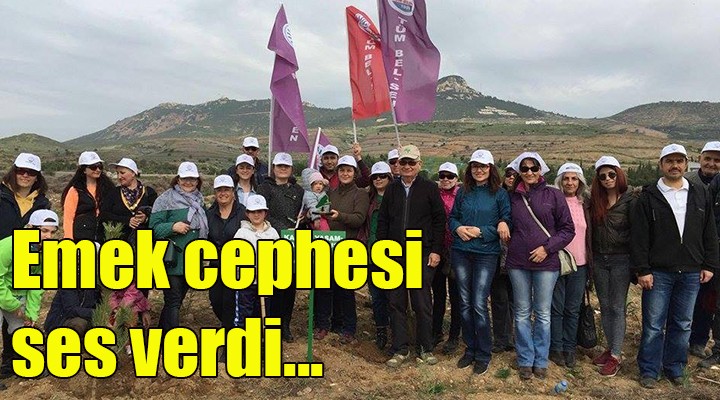 Emek cephesi de ses verdi