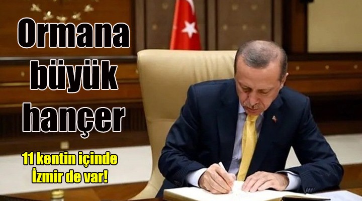 Erdoğan imzaladı: 11 şehirde bazı alanlar  orman sınırı  dışına çıkarıldı