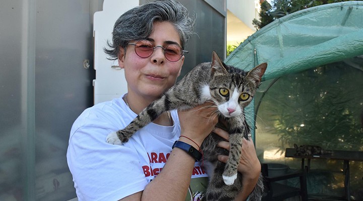 Erkek sanılan kedi doğum yaptı!