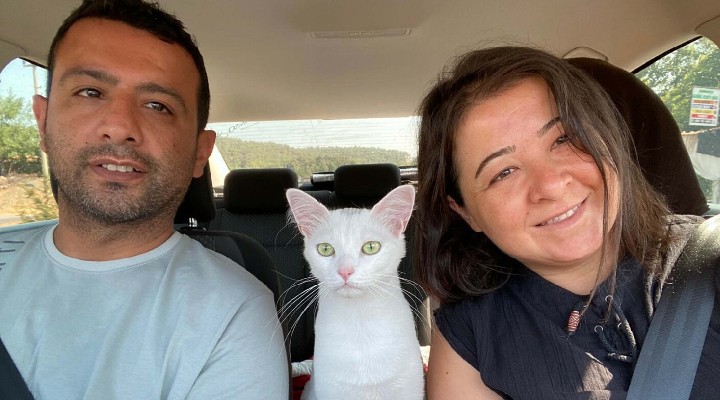 Eşinin böbreği ile ikinci kez hayata tutundu