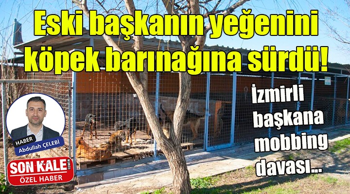 Eski başkanın yeğenini köpek barınağına sürdü!