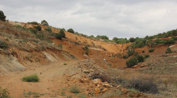 Eskişehir de 200 bin ağaç tehlikede