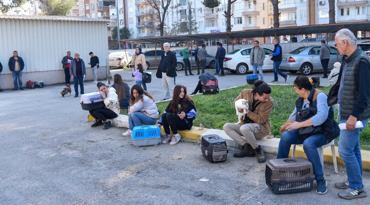 Evcil hayvanlar için çip kuyruğu!